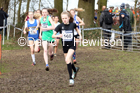 Girls under-13s, 2020 British Athletics Inter Counties Cross Country Champs., Prestwold Hall, Loughborough. Photo: David T. Hewitson/Sports for All Pics